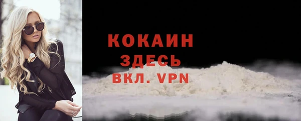 дмт Гусев