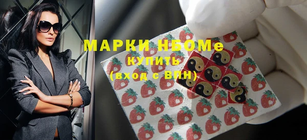 дмт Гусев
