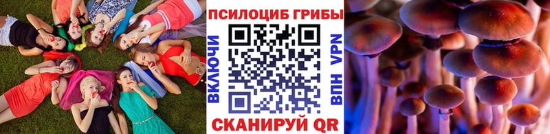 Галлюциногенные грибы Cubensis  Купить закладки  Петровск 